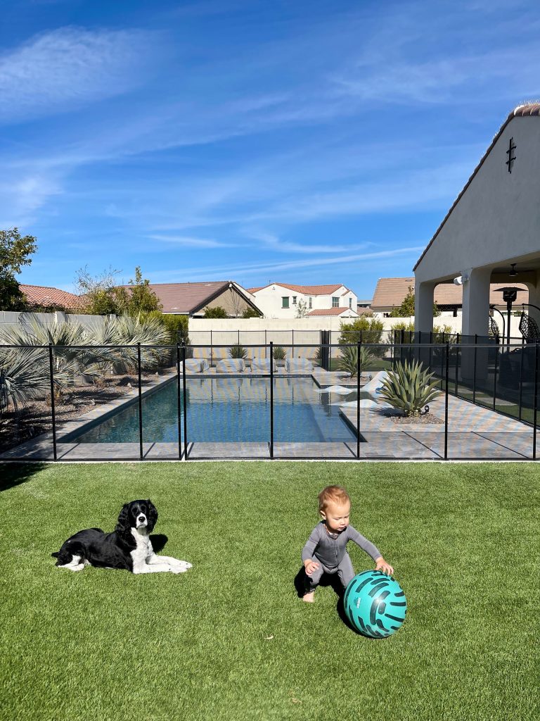 Phoenix Pool Fencing - Pet Safety Around Water